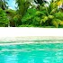Summer backgrounds apk